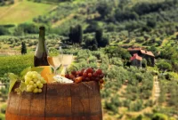 A Taste of Italy: Culinary Adventures in Tuscany