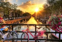 Amsterdam Beyond Tulips: A Cultural Journey