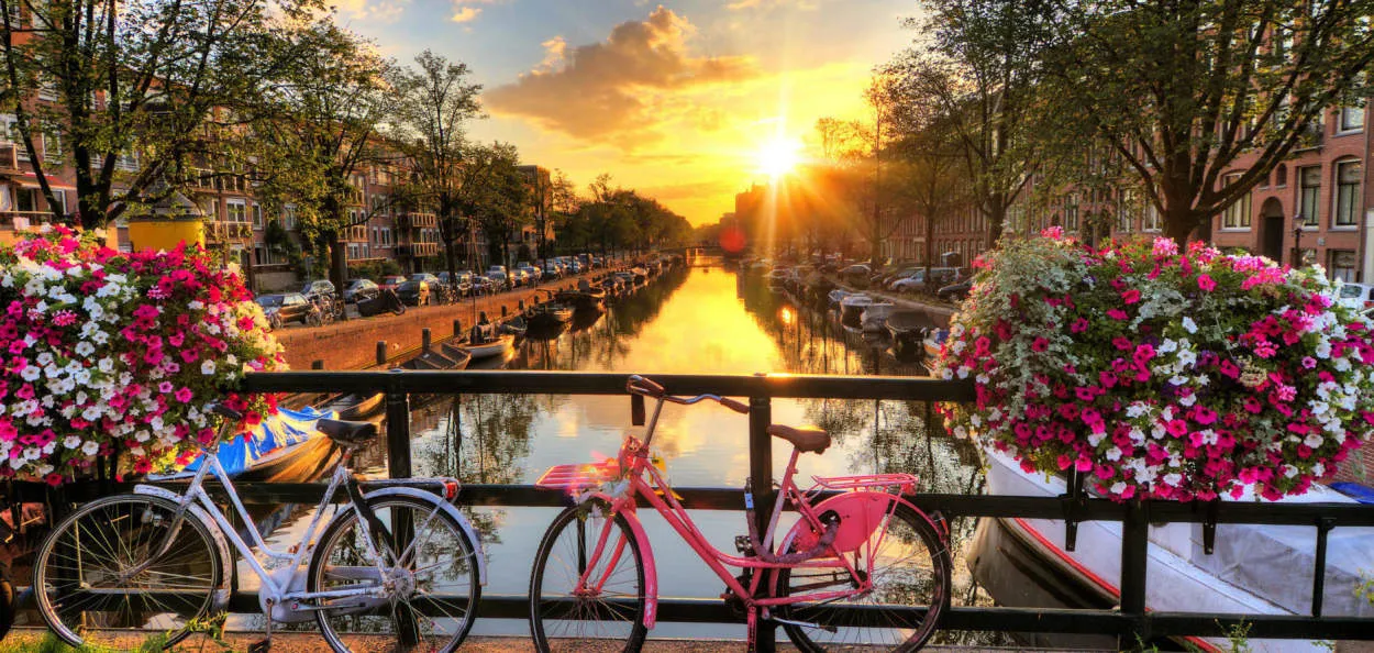 Amsterdam Beyond Tulips: A Cultural Journey