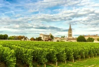 Bordeaux Wine Tours: A French Delight