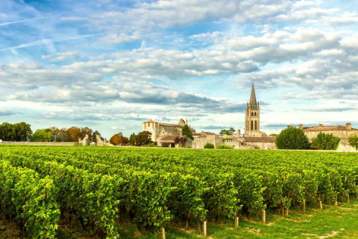 Bordeaux Wine Tours: A French Delight