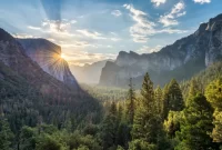 Discovering the National Parks of the USA