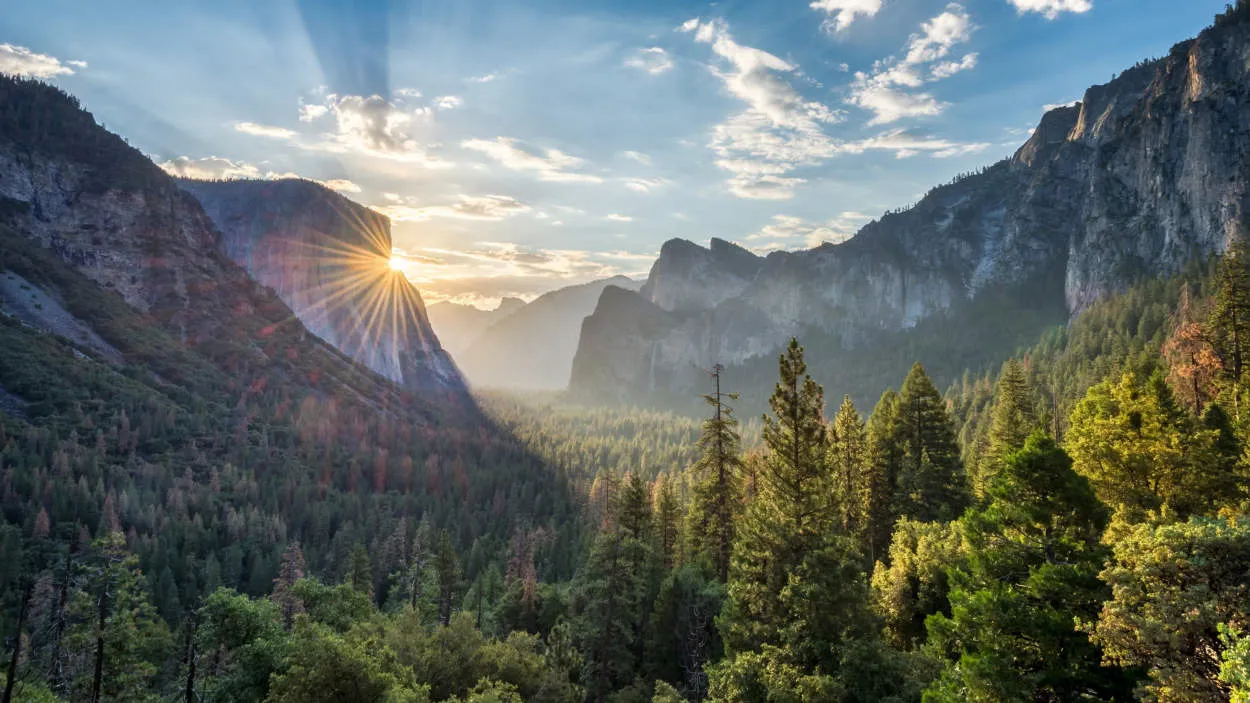 Discovering the National Parks of the USA