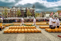 Dutch Cheese Markets: A Culinary Adventure