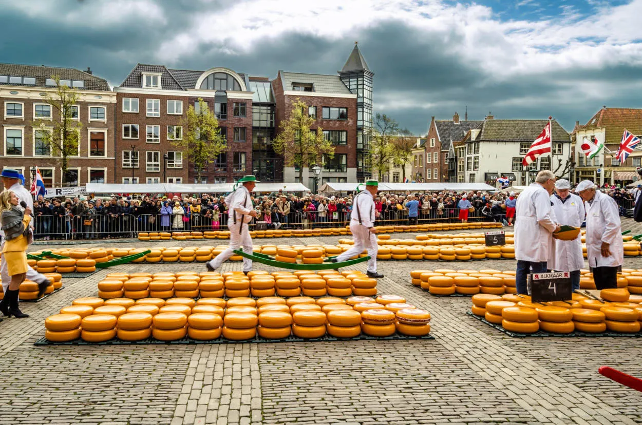 Dutch Cheese Markets: A Culinary Adventure